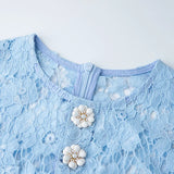 Vestido Curto – Bordado Floral, Botões, Renda, Decote O e Sem Mangas